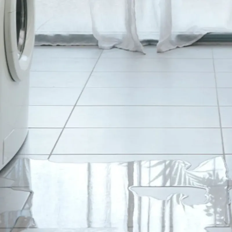 Appliance Leak Cleanup in Shrewsbury, MO