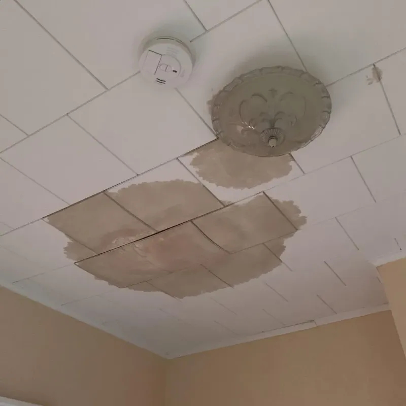Ceiling Water Damage Repair in Shrewsbury, MO