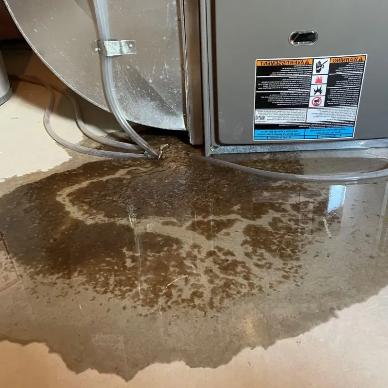Pipe Burst and Leak Restoration in Shrewsbury, MO