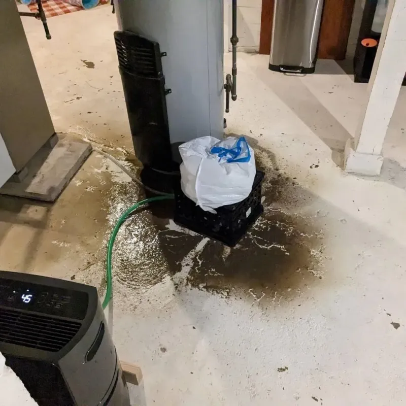 Sewage Backup Cleanup Service in Shrewsbury, MO